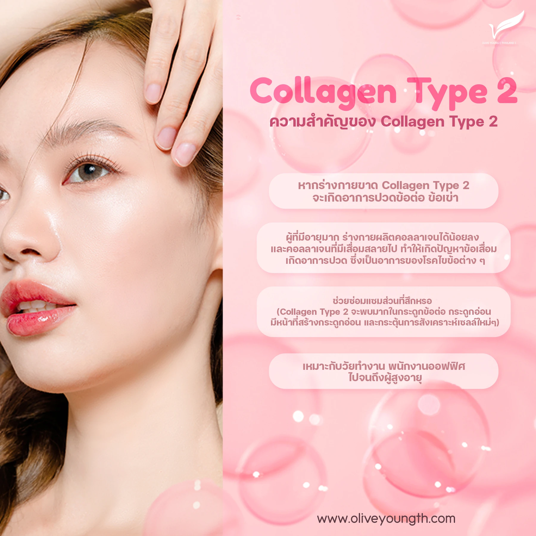 Collagen Type 2