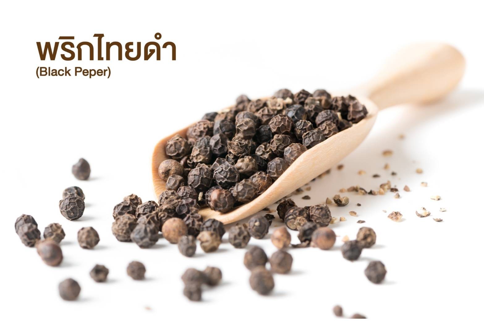 พริกไทยดำ (Black Peper)