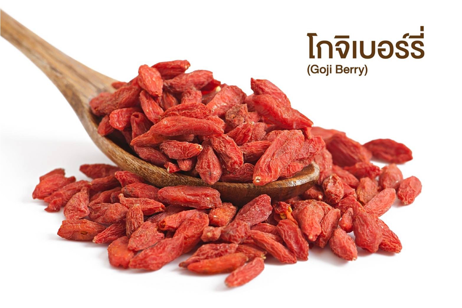 โกจิเบอร์รี (Goji Berry)