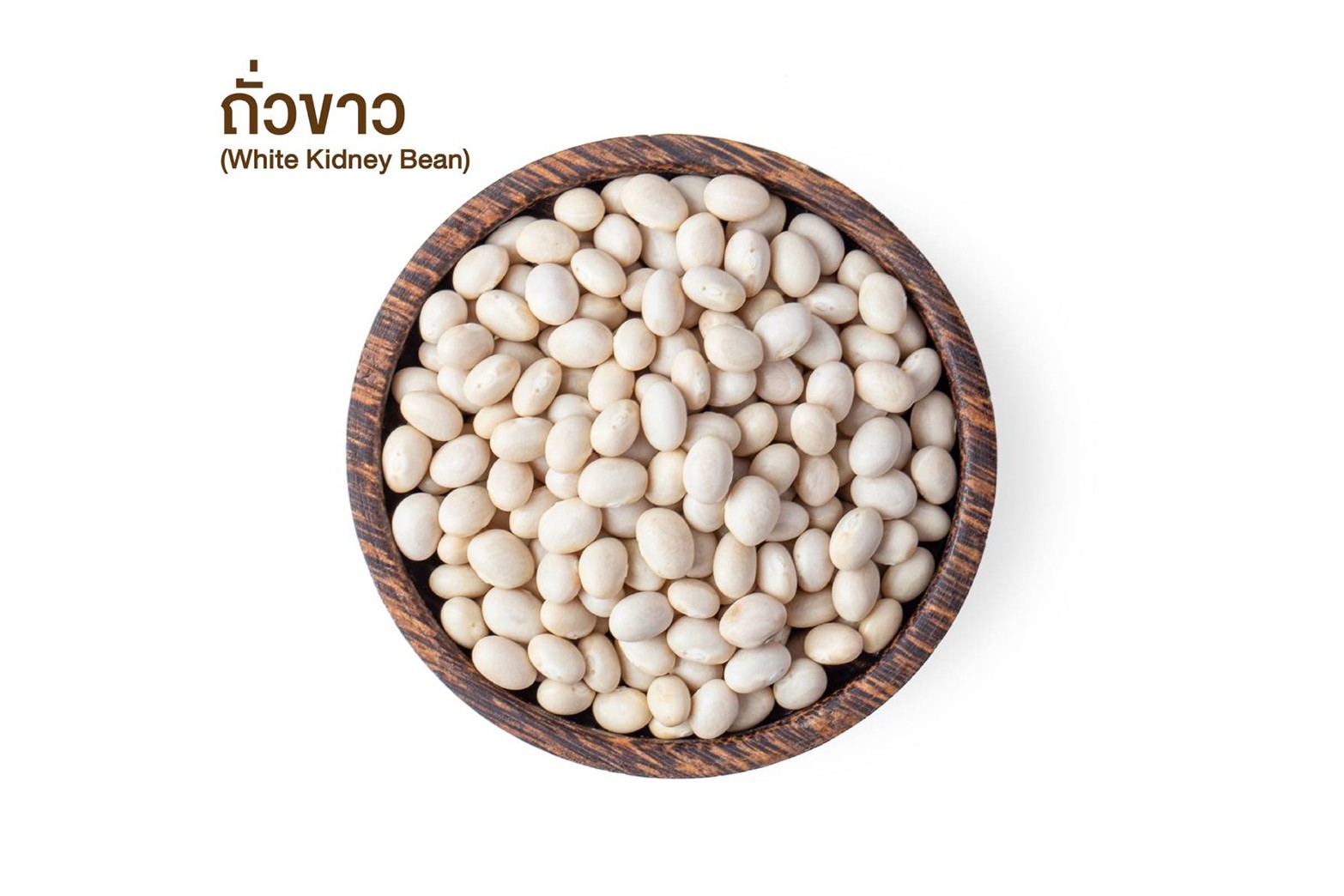 ถั่วขาว (White Kidney Bean)