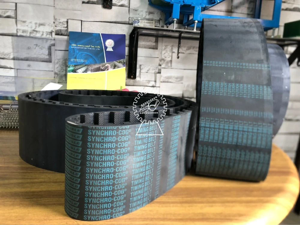 TIMING BELT / V-BELT